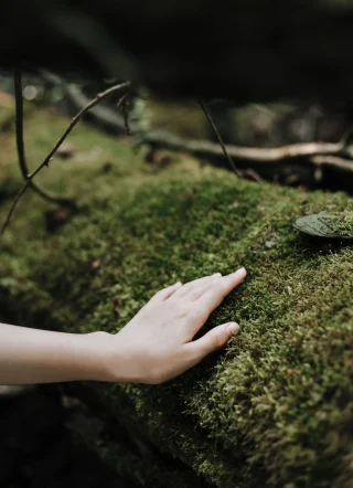 pexels-ron-lach-10484709